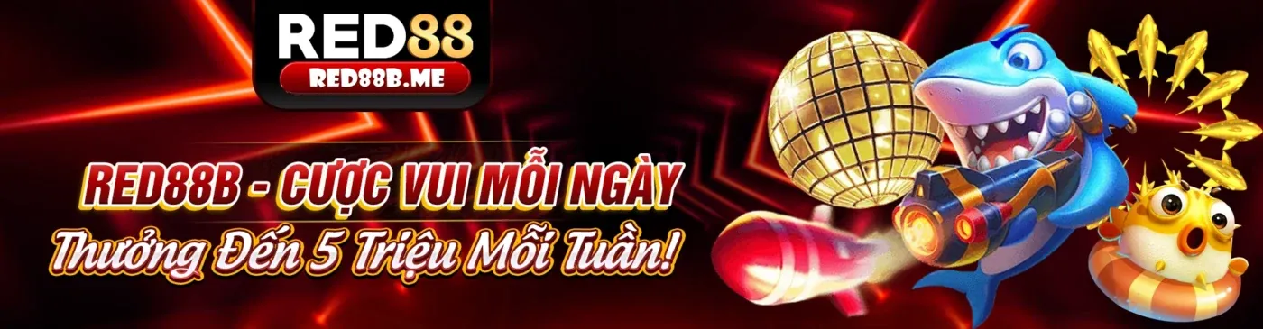 Hình ảnh Điều Khoản và Điều Kiện của tksv388 chính thức
